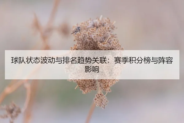 球队状态波动与排名趋势关联：赛季积分榜与阵容影响