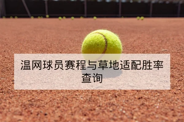 温网球员赛程与草地适配胜率查询
