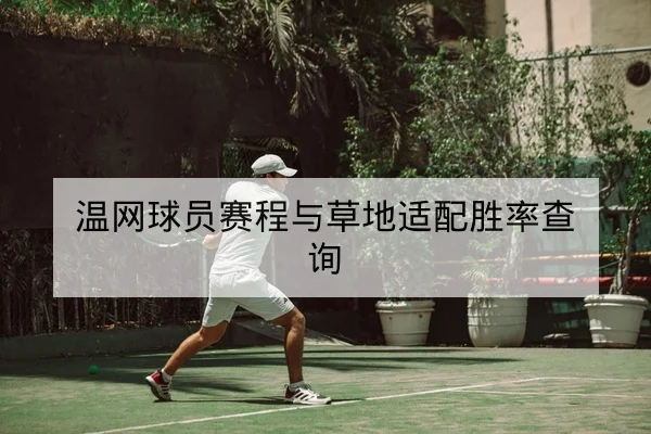 温网球员赛程与草地适配胜率查询